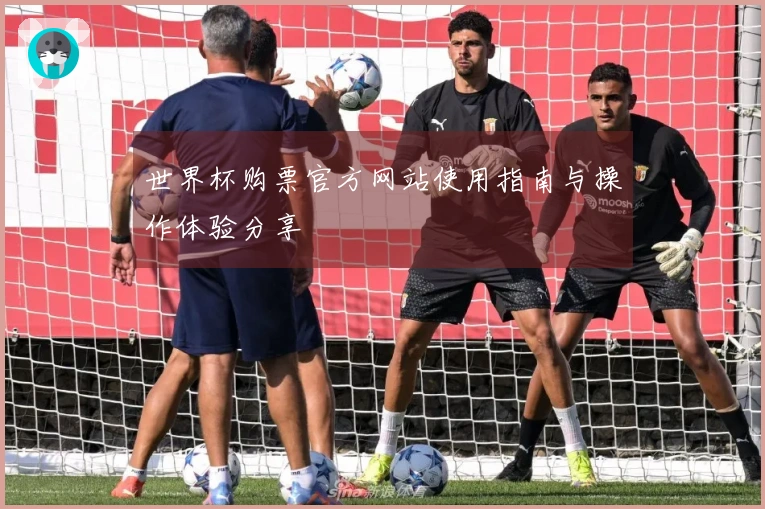 世界杯购票官方网站使用指南与操作体验分享