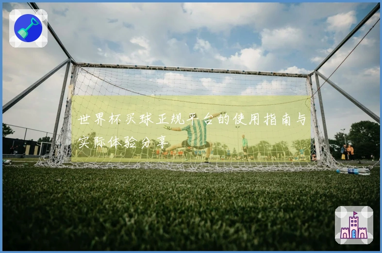 世界杯买球正规平台的使用指南与实际体验分享