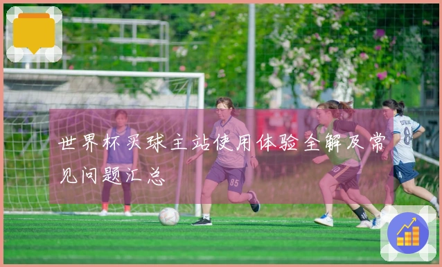 世界杯买球主站使用体验全解及常见问题汇总