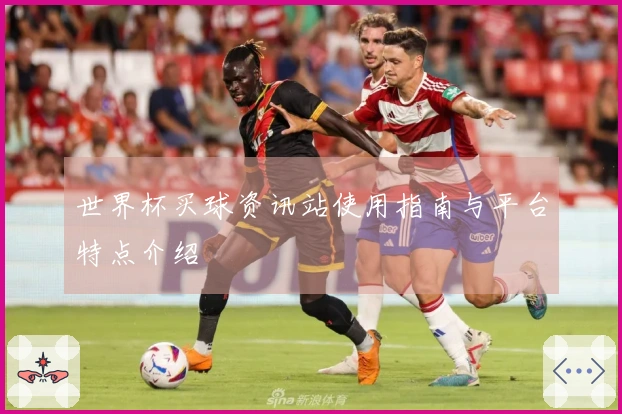 世界杯买球资讯站使用指南与平台特点介绍
